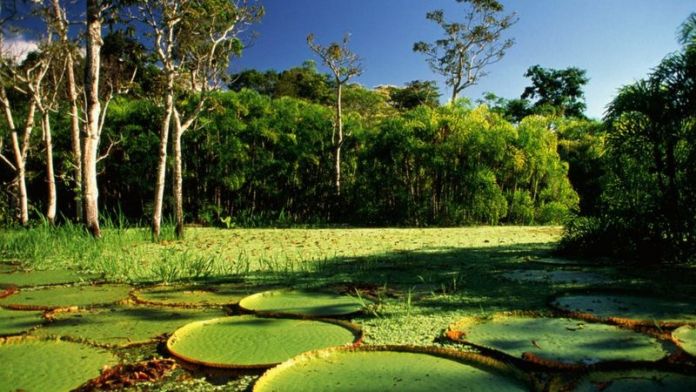 _120355094_gettyimages-ae4461-001-1