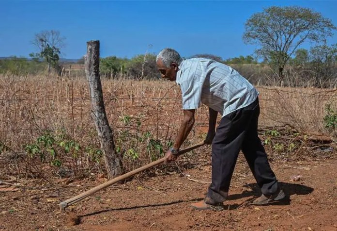 isaltino-andrade-silva-trabaja-en-su-tierra-en-el-desierto-de-gil_1990678688_760x520