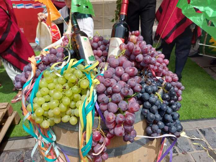 Mucha de la uva se transformará vino y singani.
