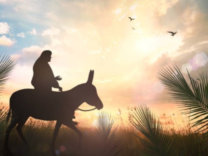 El significado del Domingo de Ramos. Foto: iStock.