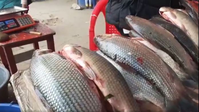 Indagan una versión sobre la carne del sábado.