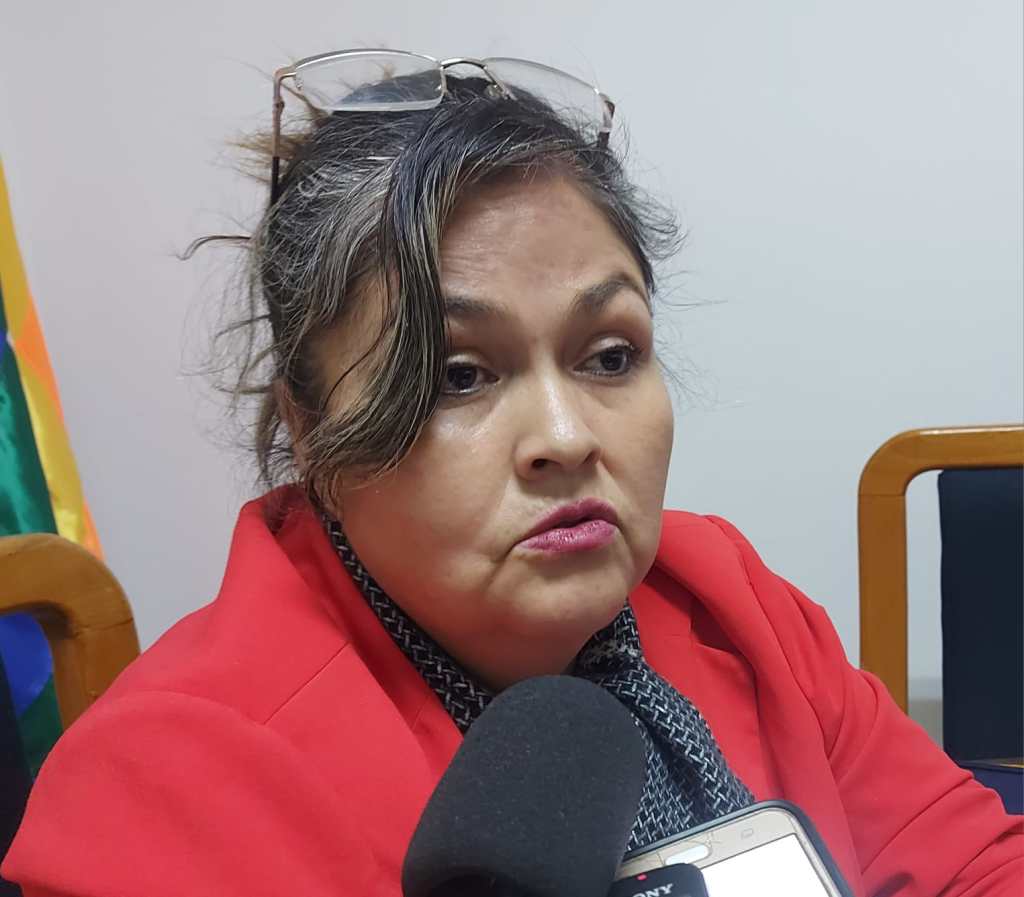 Vicepresidente de la brigada parlamentaria, Esther Sánchez Gareca.