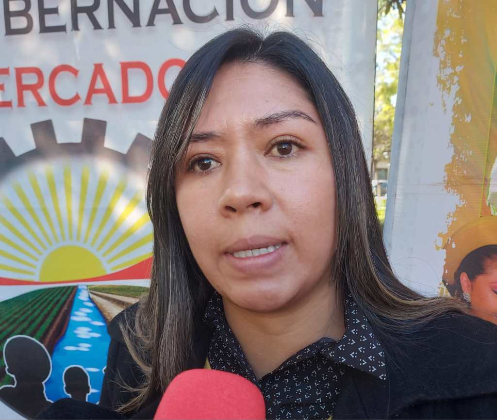 Subgobernadora de Cercado, Lidia Meza.