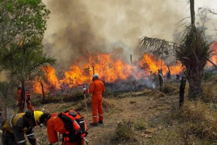 Los interculturales niegan haber iniciado fuego.