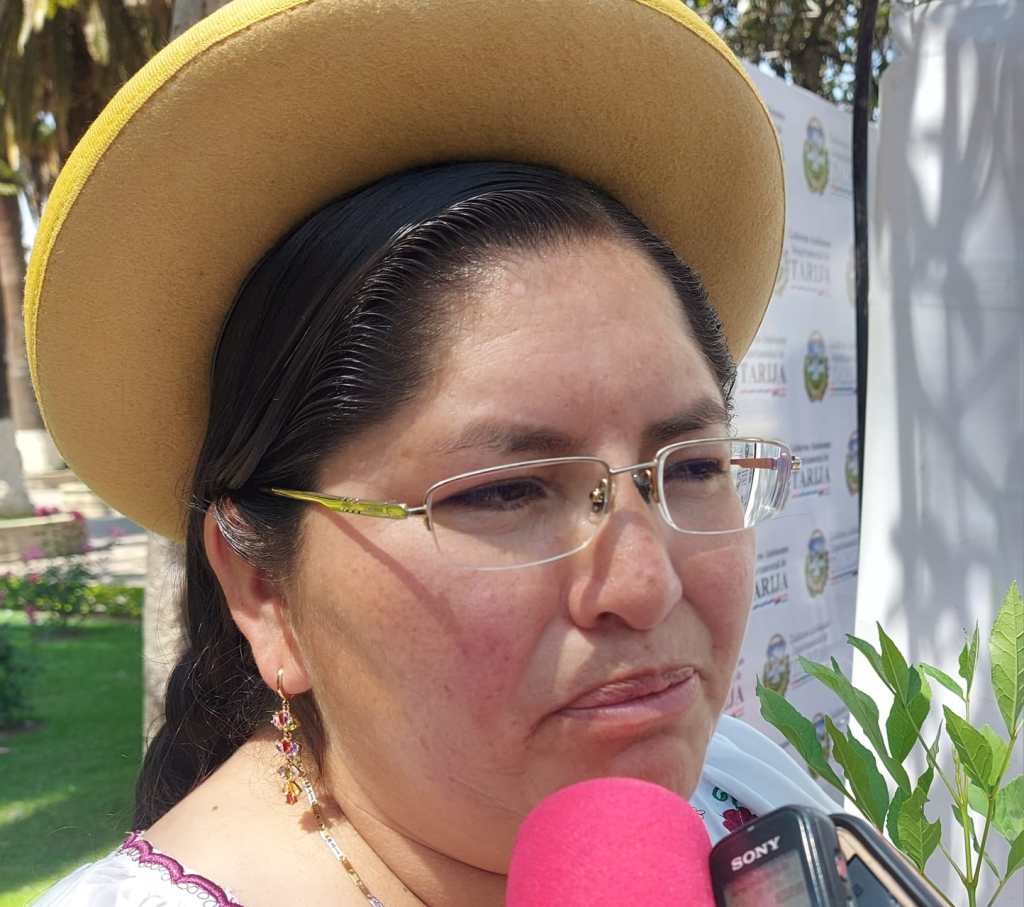 Alcaldesa de El Puente, Sara Armella Rueda.