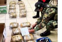 Fiscalía y Policía incautan más de 500 kilos de marihuana en dos operativos