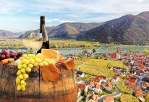 5 rutas del vino en Europa para descubrir el auténtico sabor del terroir
