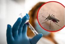 Tres fallecidos por fiebre amarilla en Santa Cruz alertan al Sedes