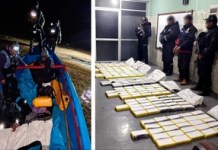Operativo en el lago Titicaca: Felcn y Armada secuestran droga valuada en Bs 3,2 millones