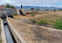Ampliación de tubería de San Jacinto expandirá de 3 mil a 10 mil hectáreas área cultivable