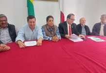 “Carrizal” precisará $us 1.800 millones de inversión en total: según cívicos