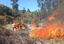 Bomberos de la Policía impedirán todo chaqueo para evitar incendios forestales