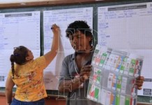 Más del 80% de las agrupaciones podrían perder su personería tras las subnacionales