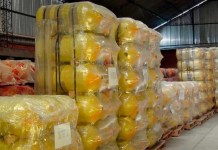 Gobierno perfila que conversión a GNV llegue a 10.000 vehículos en el país